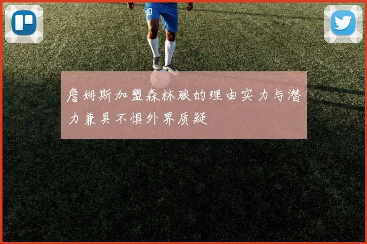 詹姆斯加盟森林狼的理由实力与潜力兼具不惧外界质疑